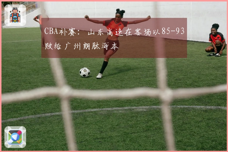 CBA补赛：山东高速在客场以85-93败给广州朗肽海本