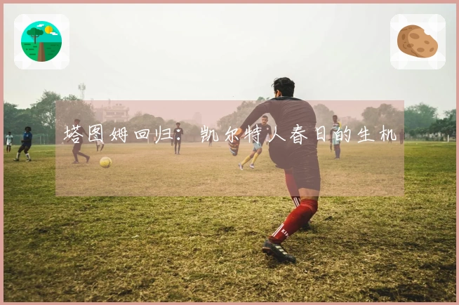 塔图姆回归：凯尔特人春日的生机