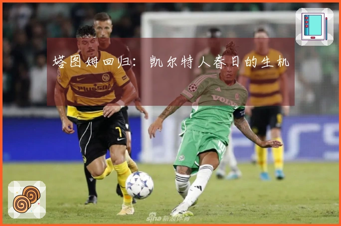 塔图姆回归：凯尔特人春日的生机