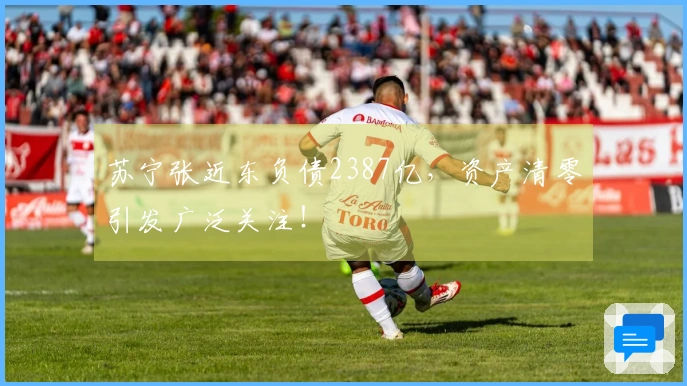 苏宁张近东负债2387亿，资产清零引发广泛关注！